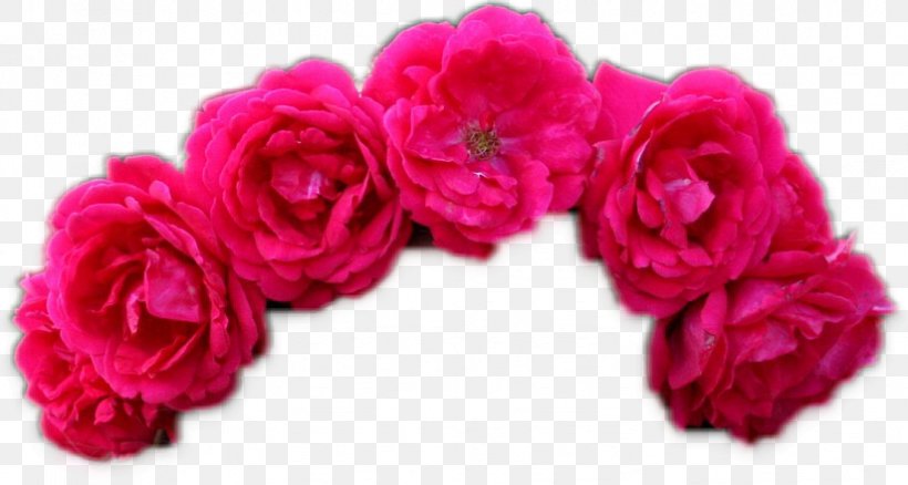 Garden Roses Cut Flowers Floral Design Flower Bouquet, PNG, 824x441px, Garden Roses, Artificial Flower, Color, Color Scheme, Cut Flowers Download Free