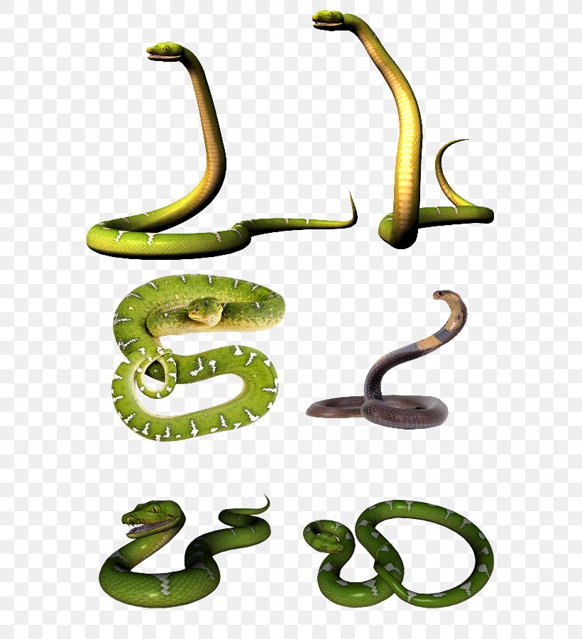 Mambas Venomous Snake Cobra Clip Art, PNG, 600x900px, Mambas, Animal, Animal Figure, Cobra, Fauna Download Free