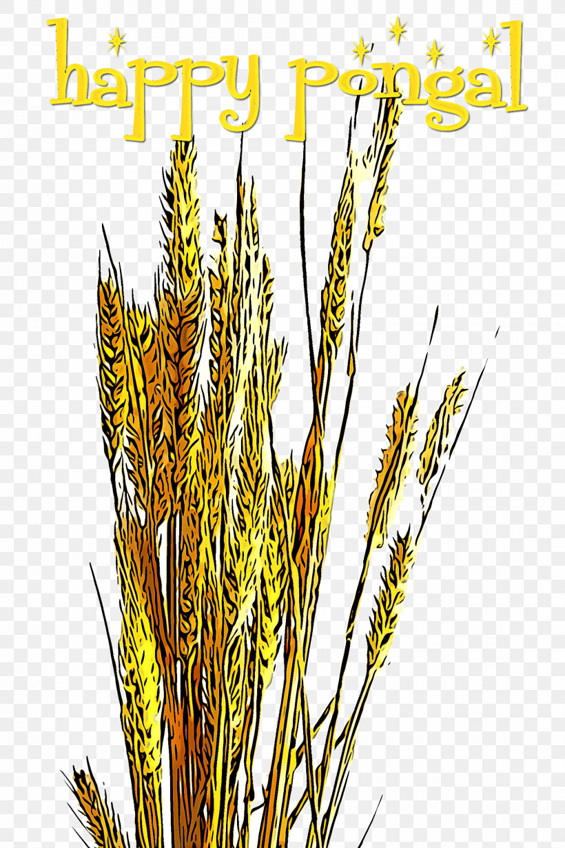 Plant Elymus Repens Grass Family Grass Cereal Germ, PNG, 1800x2699px, Plant, Cereal Germ, Crop, Elymus Repens, Flower Download Free