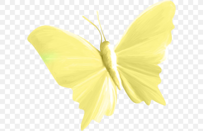 Butterfly Green Yellow, PNG, 600x529px, Butterfly, Cartoon, Gratis, Green, Insect Download Free