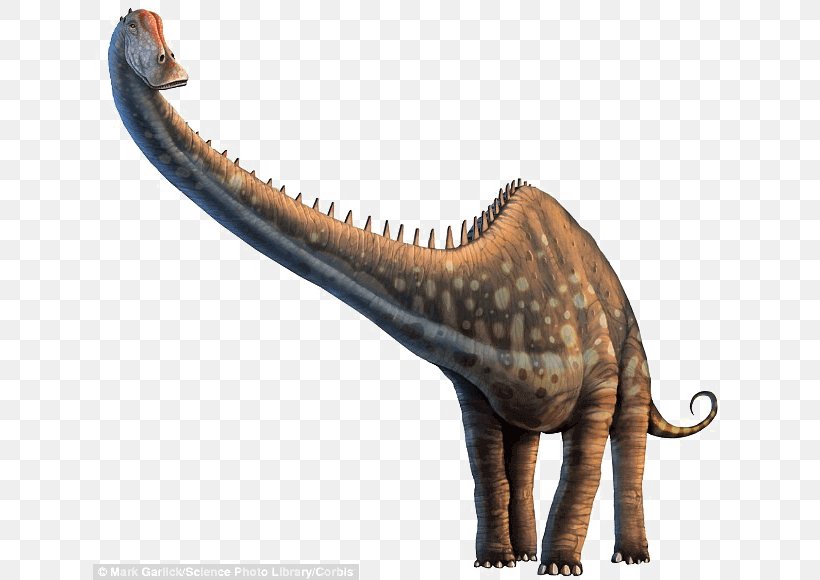 Diplodocus Allosaurus Dinosaur Photograph Poster, PNG, 634x580px, Diplodocus, Allosaurus, Animal Figure, Art, Claw Download Free