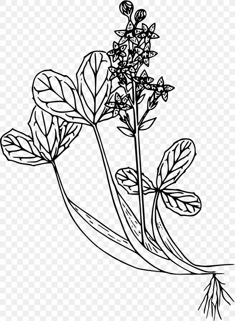 Floral Design Leaf Visual Arts Plant Stem, PNG, 1762x2400px, Floral Design, Art, Black And White, Branch, Flora Download Free