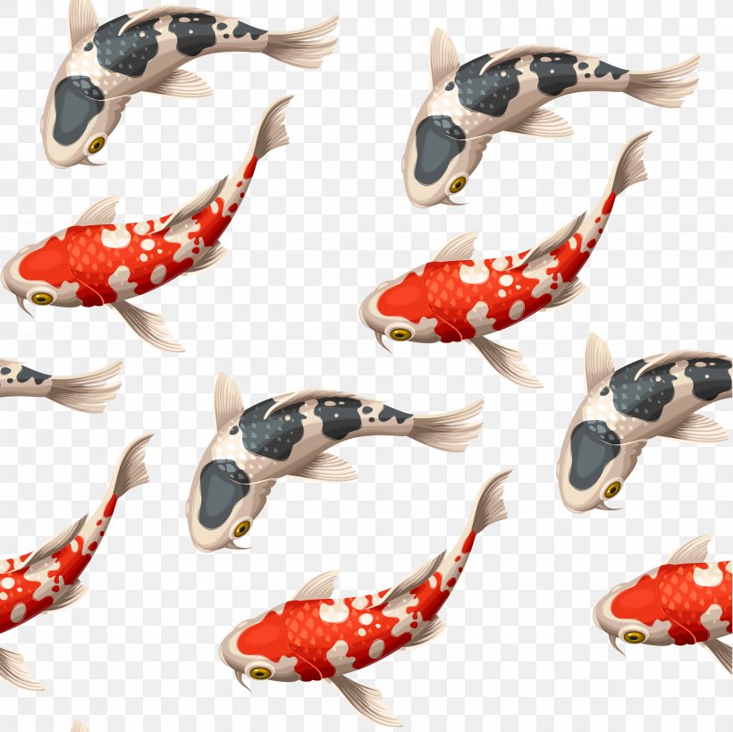 Koi Goldfish Carp Illustration, PNG, 3461x3458px, Koi, Carp, Common Carp, Drawing, Fish Download Free