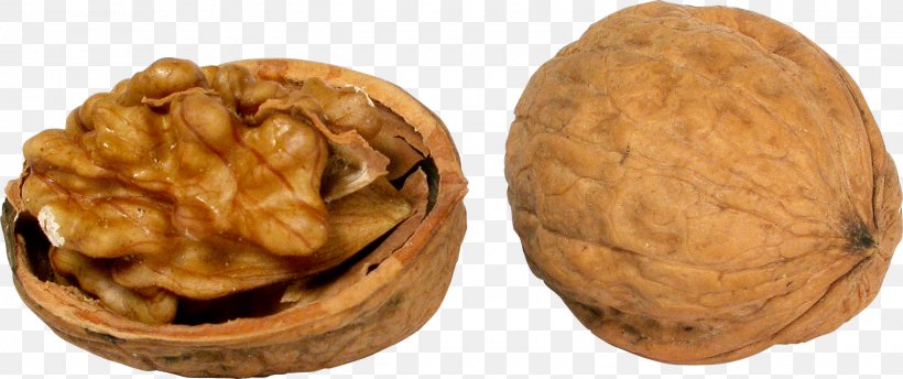 English Walnut Nuts, PNG, 1600x673px, English Walnut, Almond, Digital Image, Dried Fruit, Food Download Free