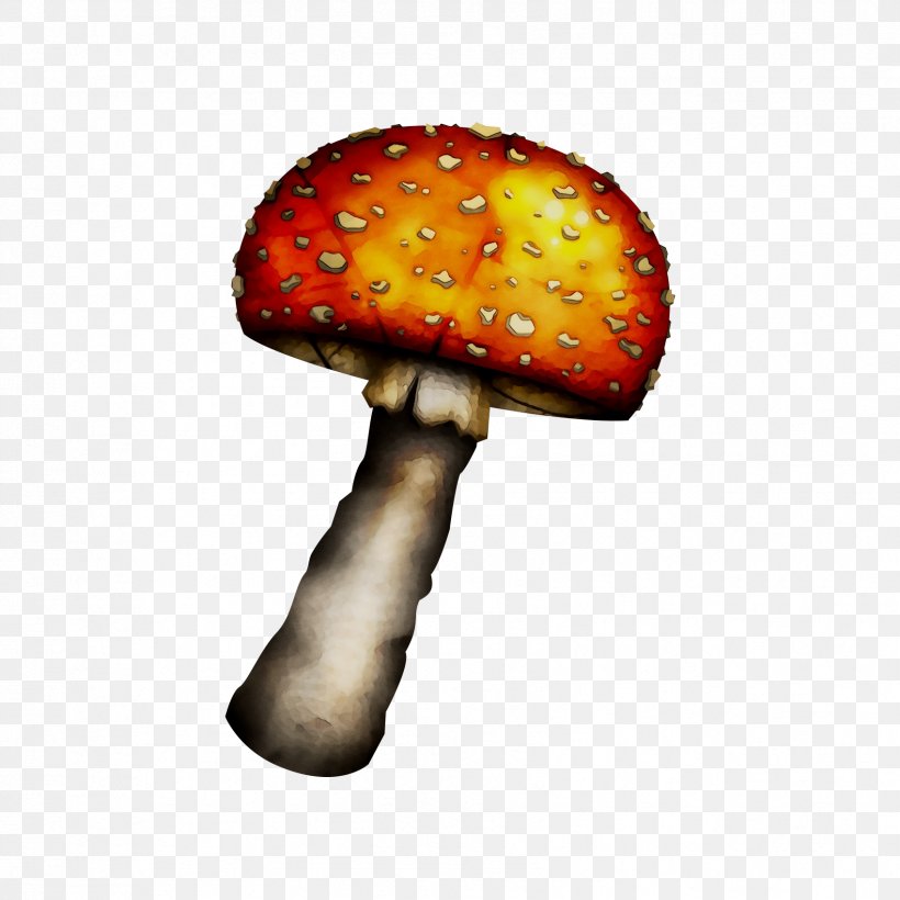 Mushroom Orange S.A., PNG, 1698x1698px, Mushroom, Agaric, Agaricaceae, Agaricus, Bolete Download Free