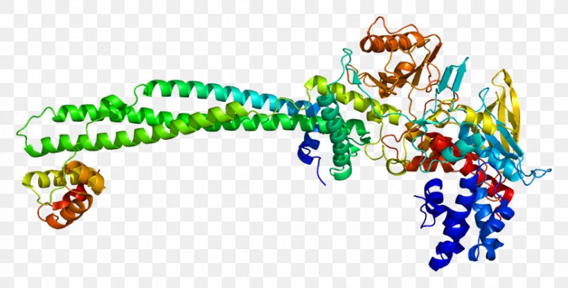 AP-1 Transcription Factor Organism Clip Art, PNG, 880x447px, Ap1 Transcription Factor, Art, Organism, Text, Transcription Factor Download Free