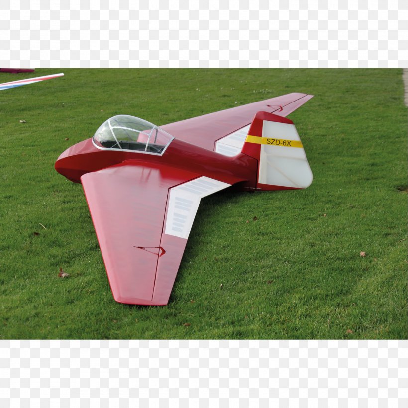 Flap Radio-controlled Aircraft SZD-6X Nietoperz Model Aircraft, PNG, 1500x1500px, Flap, Aircraft, Airplane, Grass, Model Aircraft Download Free