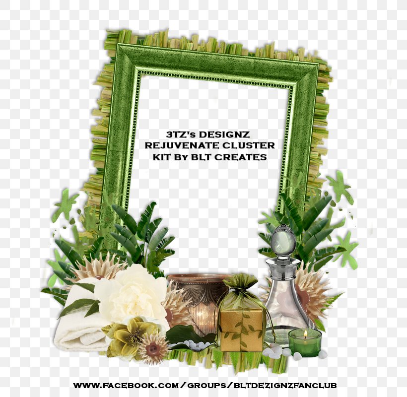Floral Design Picture Frames Flower Tree, PNG, 800x800px, Floral Design, Flower, Flowerpot, Grass, Picture Frame Download Free