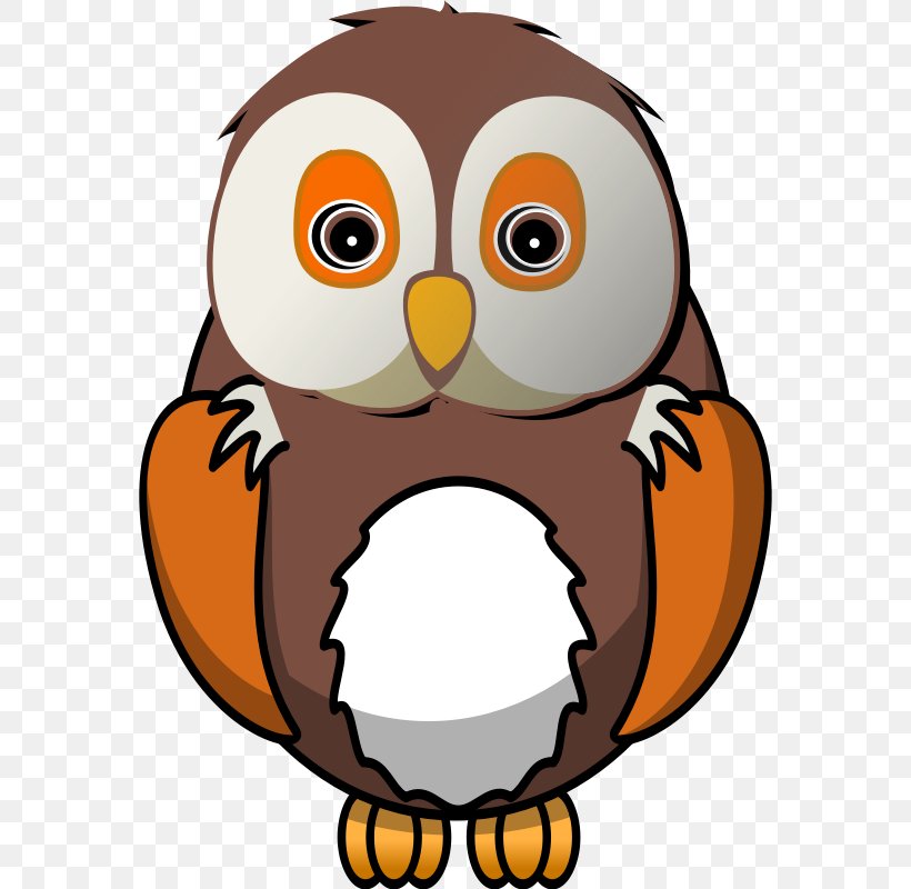 Owl Bird Clip Art, PNG, 570x800px, Owl, Artwork, Beak, Bird, Bird Of Prey Download Free