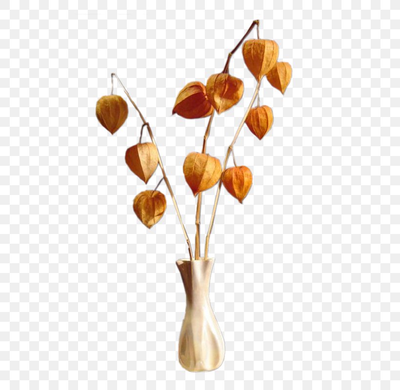 Vase Flower Clip Art, PNG, 535x800px, Vase, Blog, Branch, Cut Flowers, Flower Download Free