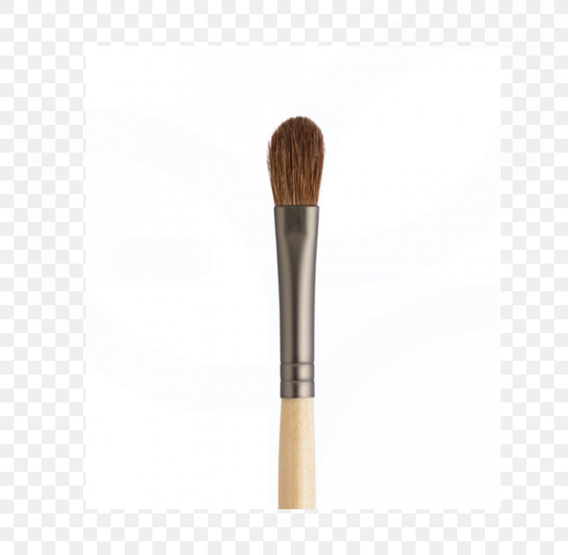 Cosmetics Makeup Brush Eye Shadow Foundation, PNG, 800x800px, Cosmetics, Beauty Parlour, Brush, Color, Concealer Download Free