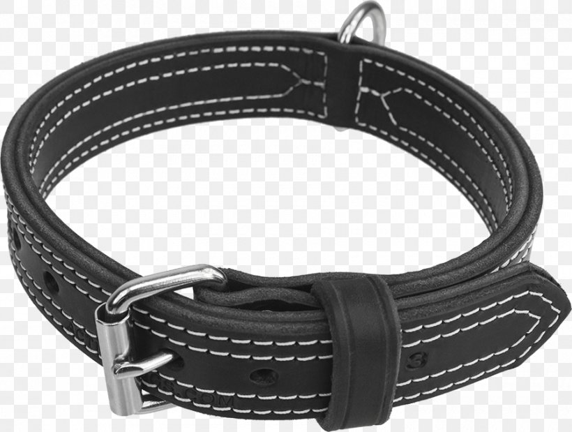 Dog Belt Leash Strap Leather, PNG, 900x680px, Dog, Activedogscom, Belt, Belt Buckle, Belt Buckles Download Free