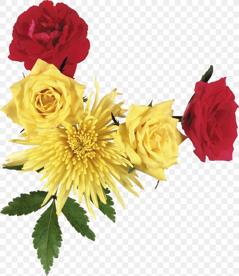 Flower Photography Clip Art, PNG, 1039x1200px, Flower, Chrysanthemum, Chrysanths, Cut Flowers, Floral Design Download Free