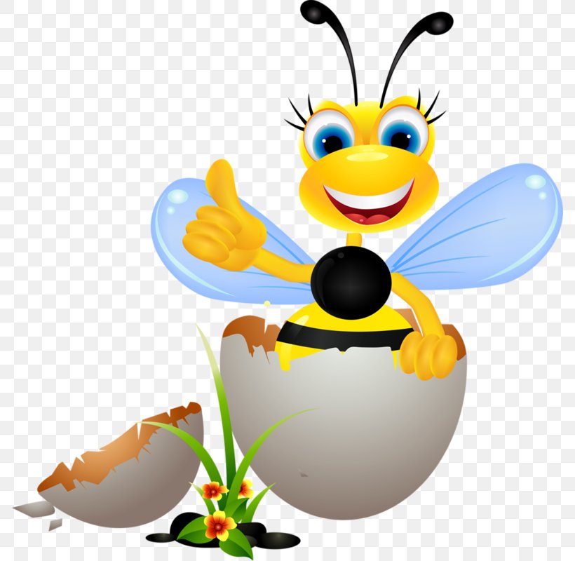 Honey Bee Insect Clip Art, PNG, 786x800px, Bee, Arthropod, Beehive, Flower, Honey Bee Download Free
