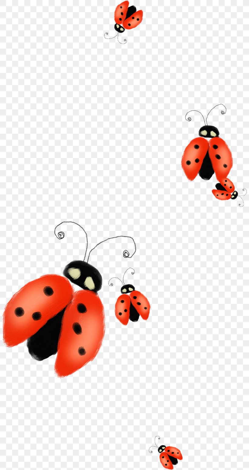 Ladybird Clip Art, PNG, 807x1547px, Ladybird, Blog, Cartoon, Drawing, Google Drawings Download Free
