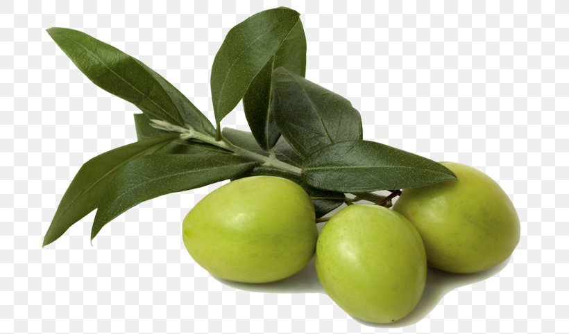 Olive Oil Olive Leaf Food Ingredient, PNG, 724x482px, Olive, Carrier Oil, Extract, Food, Foot Download Free