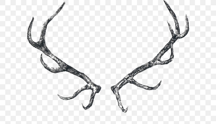 Reindeer Cartoon, PNG, 618x471px, Deer, Antler, Drawing, Elk, Horn Download Free