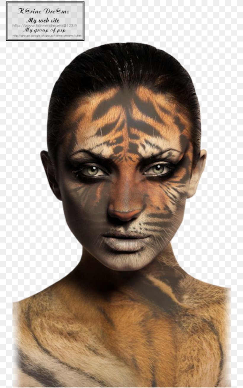 Tiger Stock Photography Woman, PNG, 800x1308px, Tiger, Chin, Face, Forehead, Head Download Free