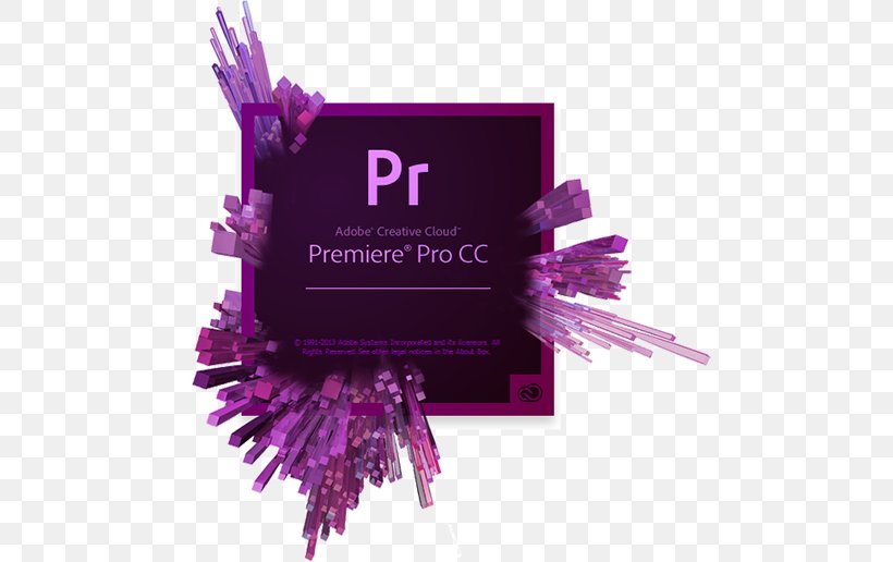 Adobe Premiere Pro Adobe Creative Cloud Adobe Systems Adobe Acrobat Non-linear Editing System, PNG, 500x516px, Adobe Premiere Pro, Adobe Acrobat, Adobe Animate, Adobe Creative Cloud, Adobe Creative Suite Download Free