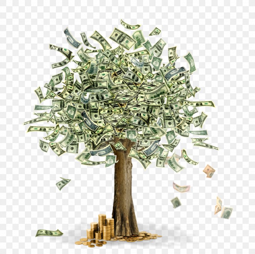 Money Guiana Chestnut Tree Clip Art Image, PNG, 1024x1021px, Money, Bank, Banknote, Branch, Currency Download Free