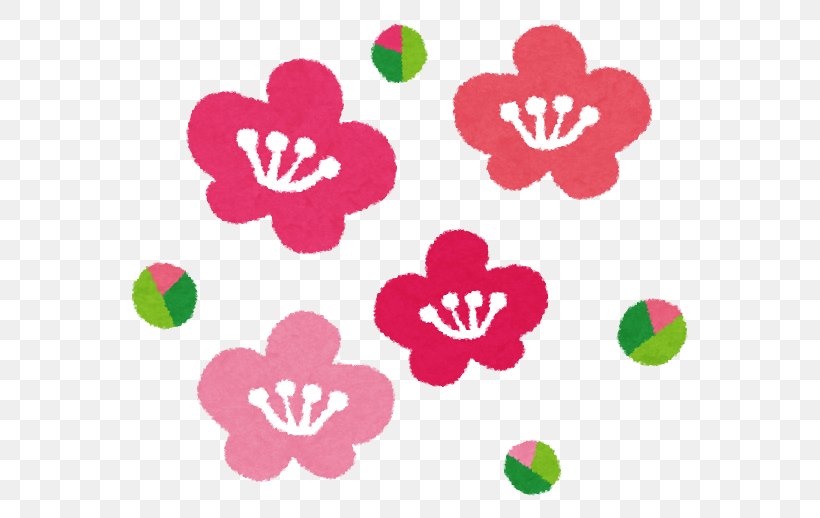Plum Blossom New Year Card Bairin Park Anthesis Umeboshi, PNG, 595x518px, Plum Blossom, Anthesis, Flower, Flowering Plant, Heart Download Free