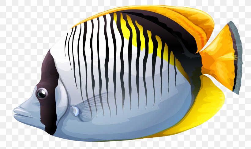 Tropical Fish Clip Art, PNG, 3000x1785px, Fish, Butterflyfish, Cap, Deep Sea Fish, Fishing Download Free