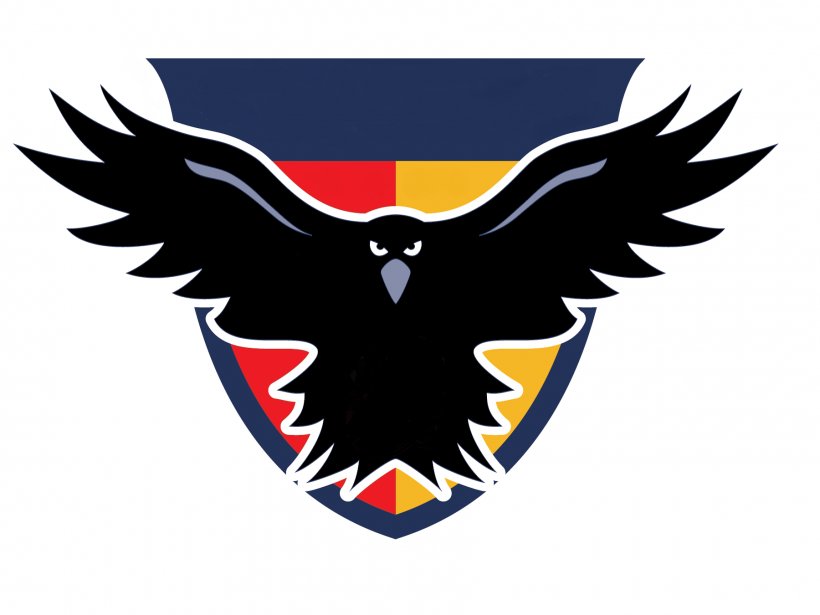 Austin Crows Dallas Magpies Houston Lonestars Australian Football League, PNG, 1800x1350px, Austin, Austin Crows, Australian Football League, Australian Rules Football, Beak Download Free