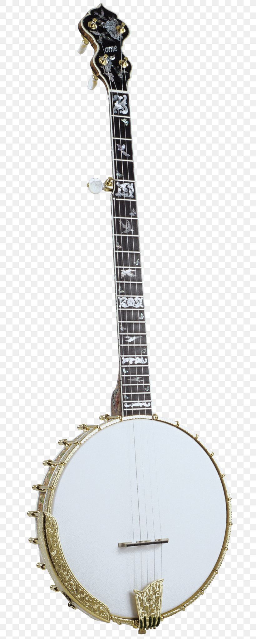 Banjo Guitar Banjo Uke Musical Instruments Electric Guitar, PNG, 708x2048px, Banjo Guitar, Acoustic Guitar, Acousticelectric Guitar, Artist, Banjo Download Free