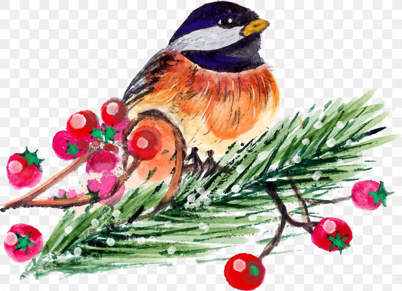 Christmas Bird Count Christmas Bird Count, PNG, 1847x1338px, Bird, Art, Beak, Branch, Christmas Download Free