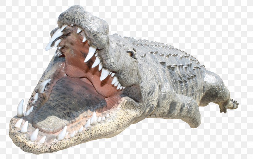 Crocodile Alligator, PNG, 1200x758px, Crocodile, Alligator, Crocodile Clip, Crocodiles, Crocodilia Download Free