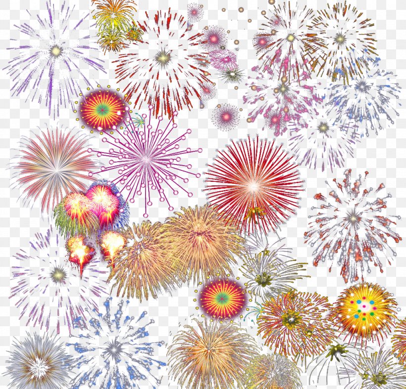 Fireworks Download, PNG, 1024x984px, Fireworks, Chrysanths, Color, Dahlia, Festival Download Free