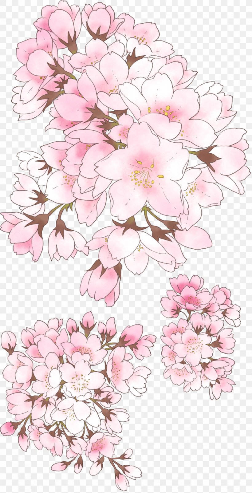 National Cherry Blossom Festival Drawing, PNG, 928x1816px, Cherry Blossom, Blossom, Branch, Cherry, Cut Flowers Download Free