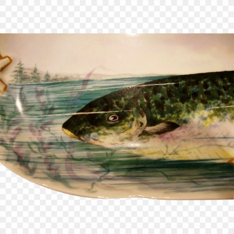 Reptile Catfish Sardine Fauna, PNG, 1023x1023px, Reptile, Catfish, Fauna, Fish, Sardine Download Free