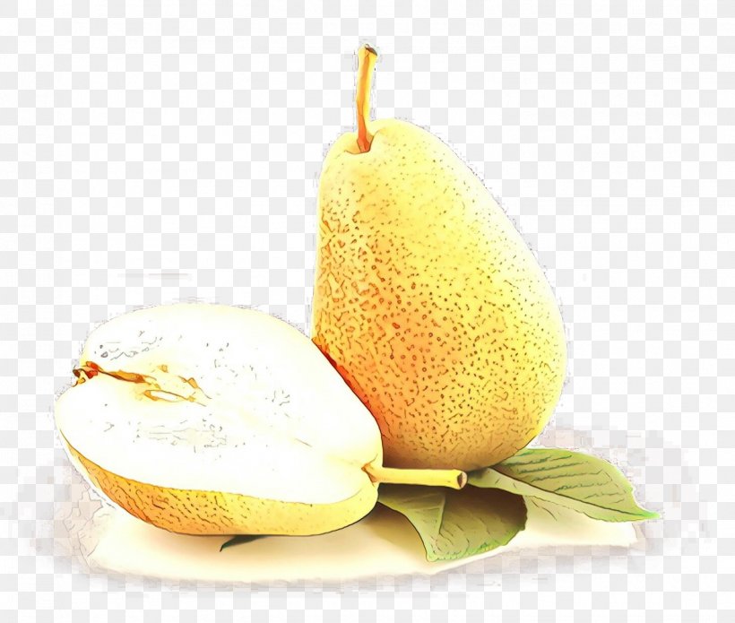 Tree Of Life, PNG, 1505x1276px, Pear, Accessory Fruit, Acid, Asian Pear, Citric Acid Download Free