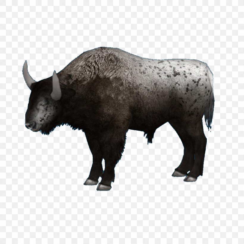 Bison Bonasus Bison Antiquus Steppe Bison Domestic Yak Bison Latifrons, PNG, 1024x1024px, Bison Bonasus, American Bison, Animal, Bison, Bison Antiquus Download Free