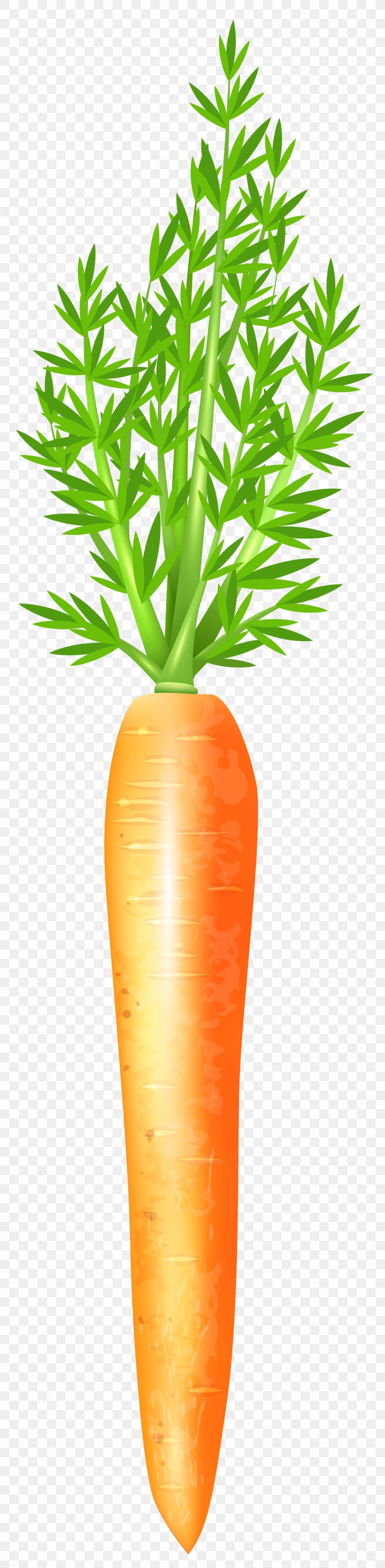 Carrot Clip Art, PNG, 1966x8000px, Juice, Art, Baby Carrot, Biscuits, Carrot Download Free