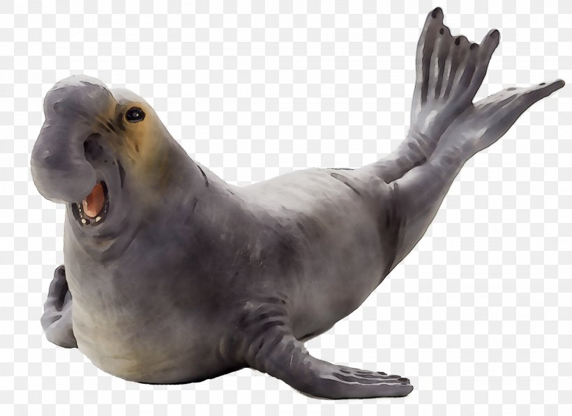 Sea Lion Harbor Seal Terrestrial Animal Fauna, PNG, 2168x1581px, Sea Lion, Animal, Animal Figure, Animation, Beak Download Free