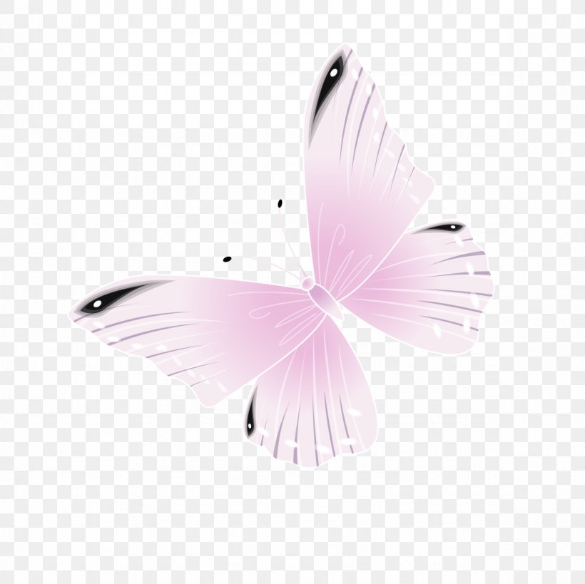 Butterfly Pink Wallpaper, PNG, 1181x1181px, Butterfly, Color, Computer, Copyright, Feather Download Free