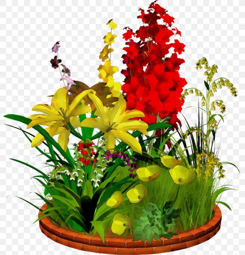 Flower Plant Flowerpot Cut Flowers Flowering Plant, PNG, 800x854px, Watercolor, Aquarium Decor, Cut Flowers, Floristry, Flower Download Free