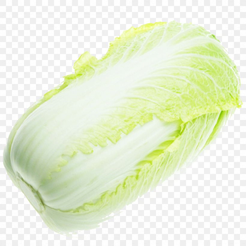Leaf Vegetable Savoy Cabbage Jiaozi, PNG, 1000x1000px, Leaf Vegetable, Allium Fistulosum, Bok Choy, Brassica Oleracea, Cabbage Download Free