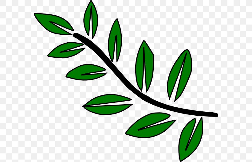 Branch Tree Drawing Clip Art, PNG, 600x528px, Branch, Artwork, Black And White, Drawing, Flora Download Free