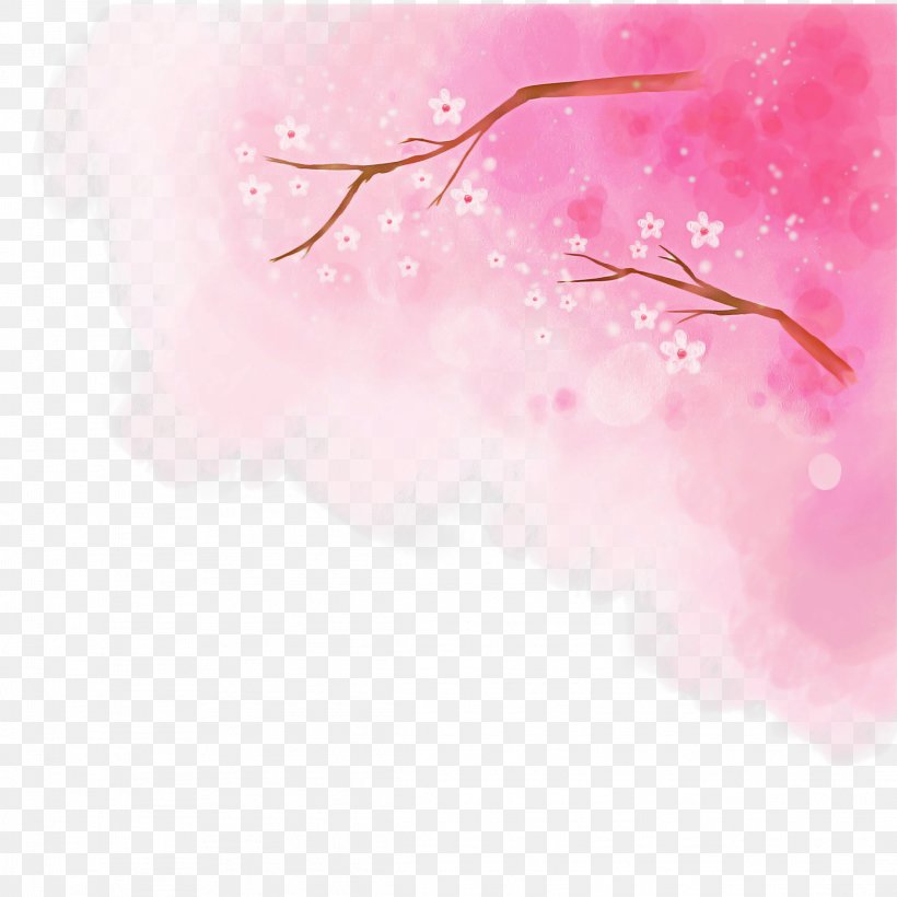 Cherry Blossom, PNG, 2289x2289px, Pink, Blossom, Branch, Cherry Blossom, Flower Download Free