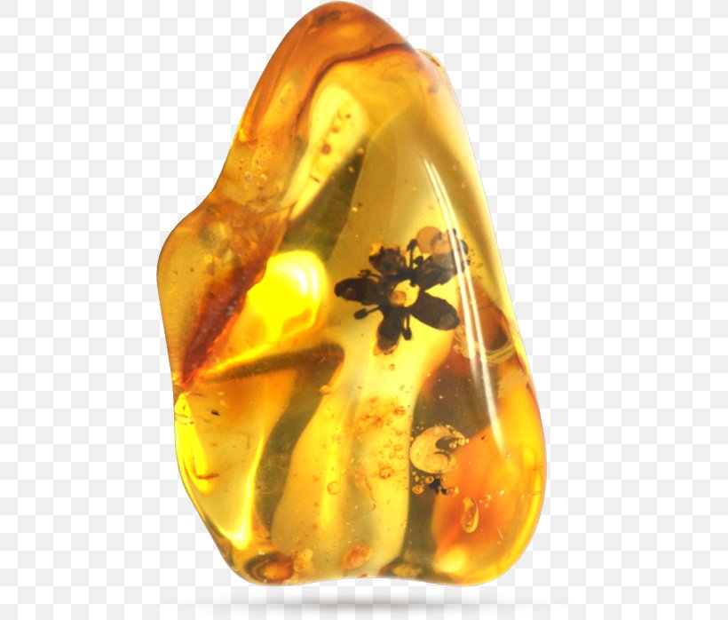 Baltic Amber Bracelet Crystal Healing Necklace, PNG, 534x698px, Amber, Baltic Amber, Baltic Region, Bracelet, Charms Pendants Download Free