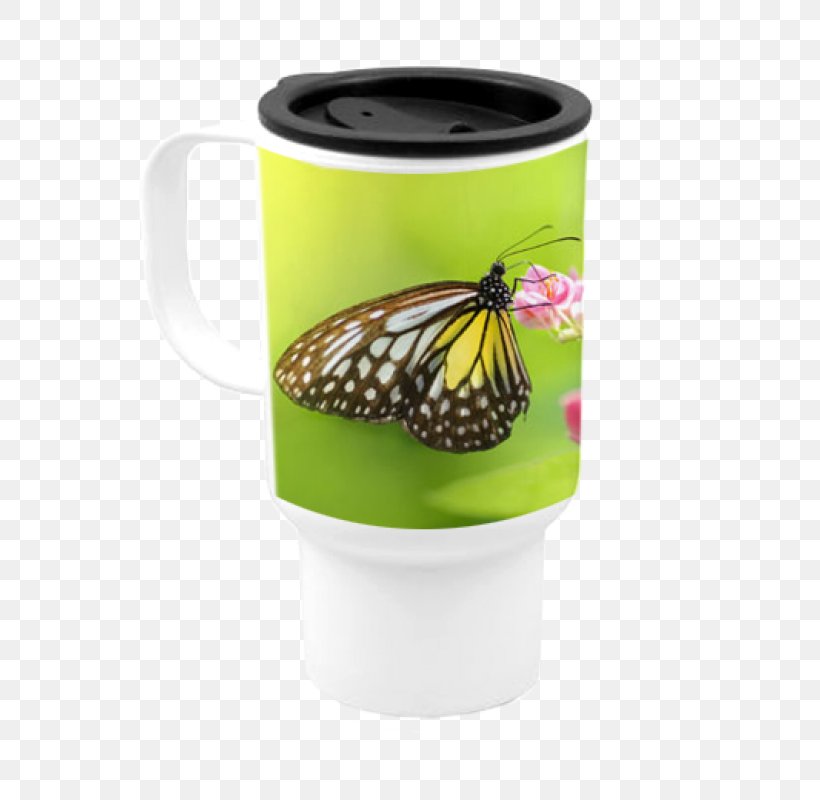 Desktop Wallpaper Butterfly Mobile Phones Color, PNG, 800x800px, Butterfly, Advertising, Coffee Cup, Color, Computer Download Free
