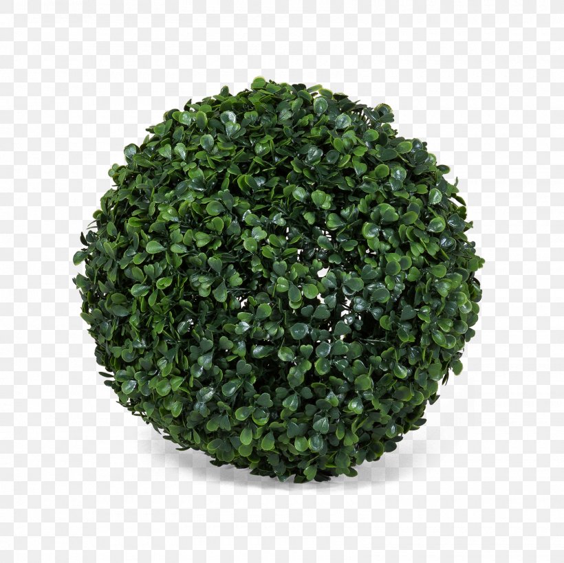 EPDM Rubber Natural Rubber Common Ivy Synthetic Rubber Hedge, PNG, 1600x1600px, Epdm Rubber, Common Ivy, Dedeman, Flowerpot, Grass Download Free