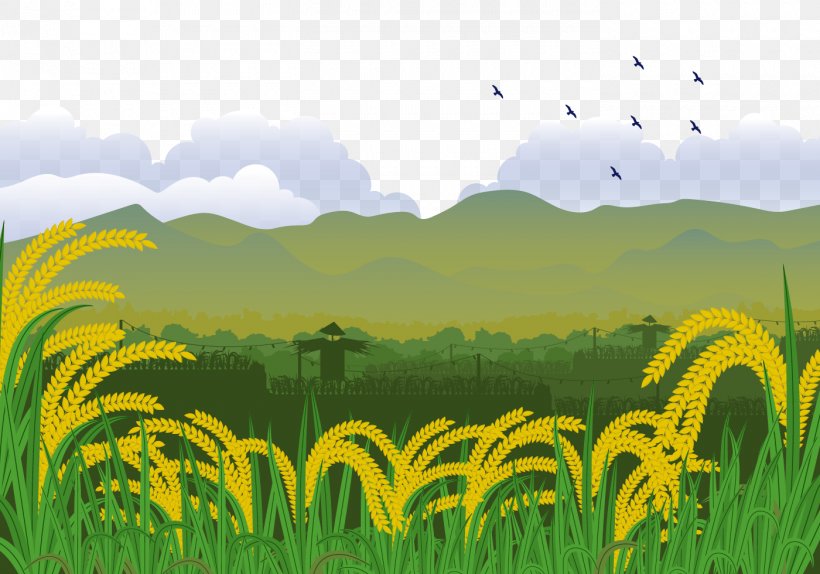Euclidean Vector Illustration, PNG, 1400x980px, Paddy Field, Agriculture, Commodity, Crop, Ecoregion Download Free