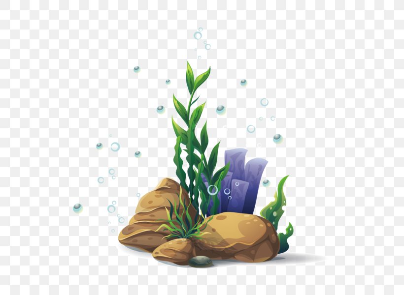 Seaweed Cartoon, PNG, 600x600px, Seaweed, Algae, Aquarium Decor, Aquatic Plants, Coral Download Free