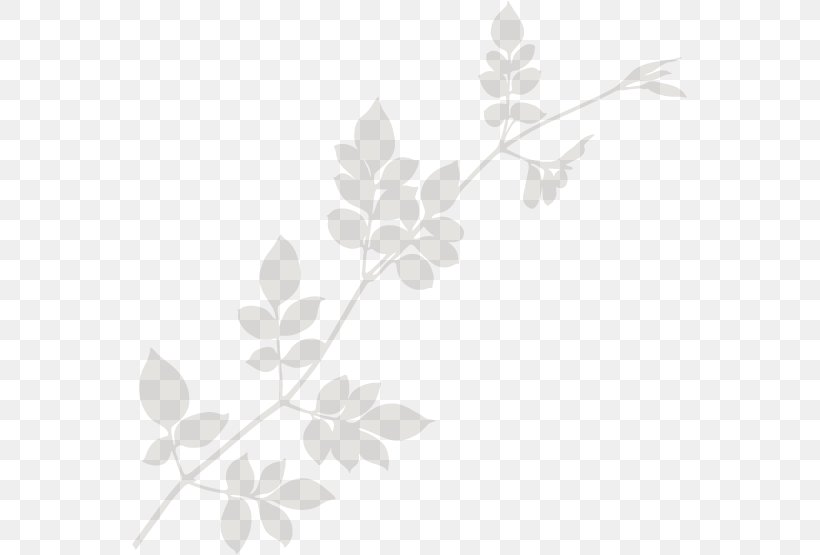 Twig Wall Decal Wallpaper, PNG, 555x555px, Twig, Art, Black And White, Branch, Flora Download Free