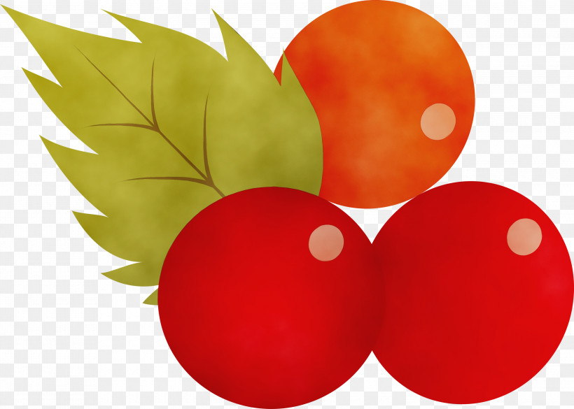 Vegetable Apple, PNG, 3000x2142px, Watercolor, Apple, Paint, Vegetable, Wet Ink Download Free