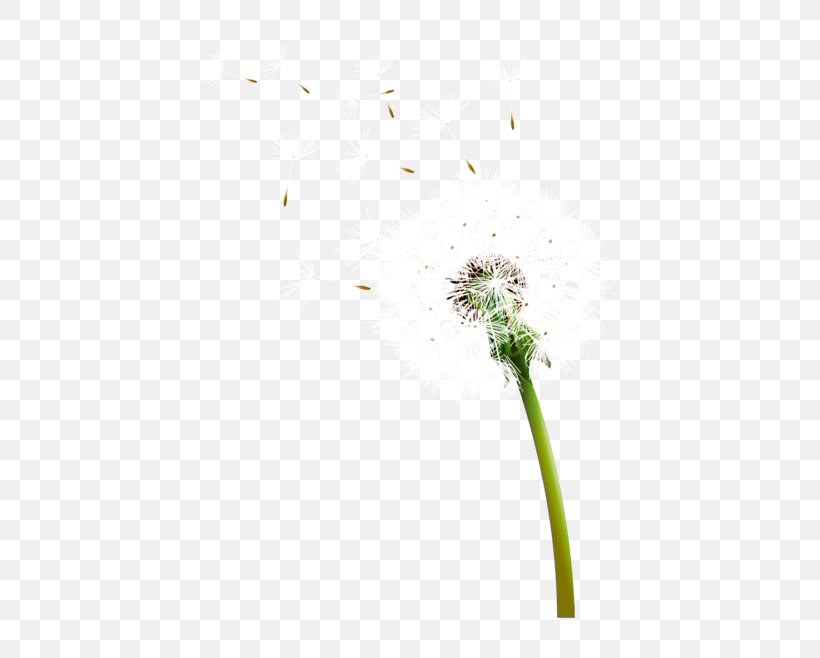 Common Dandelion Euclidean Vector Icon, PNG, 658x658px, Taraxacum Platycarpum, Dandelion, Drawing, Flower, Green Download Free